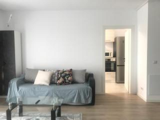 Vulcan Fancy Apartments - Boekarest - 1