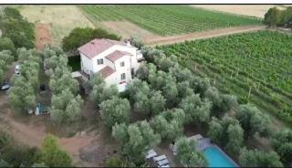 Appartamenti in Villa - Castiglione della Pescaia - 8
