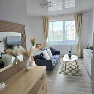 Cozy SoRaDa 2 apartment - 4