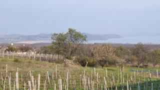 Traditional cottage at Lake Balaton - 3