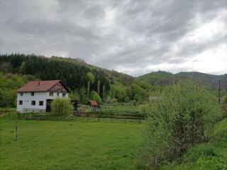 Cabana Țibleș - - 2