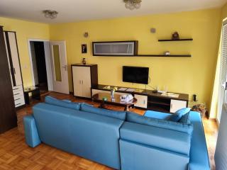Apartman Leone Vrnjačka Banja - Vrnjačka Banja - 3