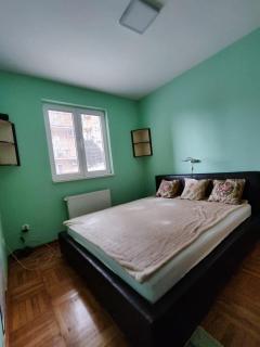 Apartman Leone Vrnjačka Banja - Vrnjačka Banja - 2