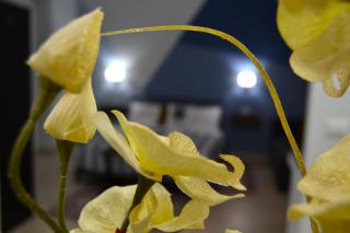 Casa Grazia - Guest House - - Reggio di Calabria - 3