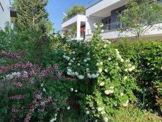 Robertsau, jardin en ville - Strasbourg - 9