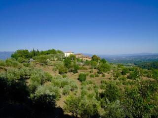 Ventena Vecchia antico frantoio - Montevarchi - 8