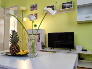 Apartman Lola - Višegrad - 1