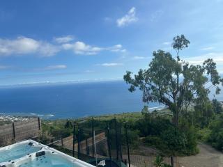 Superbe villa saint leu piscine et spa vue Océan - 1