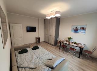 Apartament Blisko i Spokojnie / Close and Quiet Apartment - Danzig - 8
