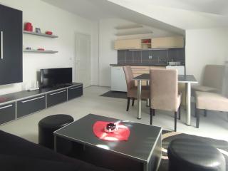 Apartman Vujic - Soko Banja - 0