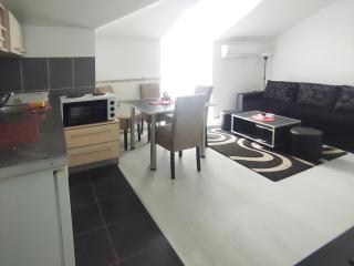 Apartman Vujic - Soko Banja - 8