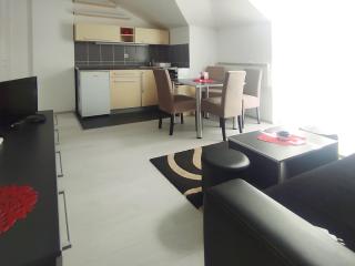 Apartman Vujic - Soko Banja - 7