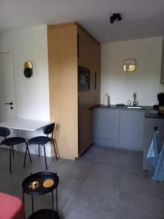 Starling - Oud-Turnhout - 5
