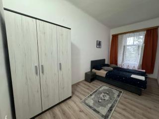 1 bedroom apartment in downtown - 2