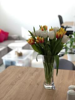 Apartment Little Hill - Praag - 8