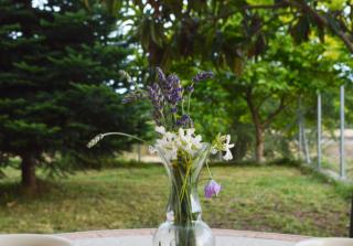 Sunny Retreat with a Garden Terrace Private Room - Ioannina - 5