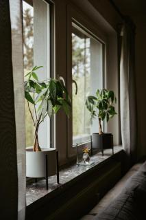 Ferienwohnung „Göttschied“ - 1