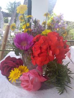 Beach Front Studio Maria - 7