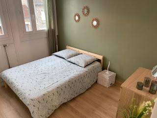 Superbe appartement au bord de Vienne - Limoges - 5