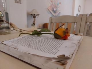 Antique Apartment - Afitos - 0