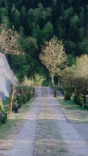 Landhaus Borjomi - Bordzjomi - 6
