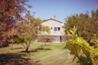 maison de famille en pleine nature - La Touche - 8