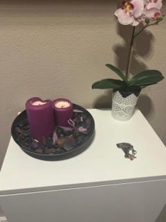 Mi Rincón Favorito - Adeje - 2