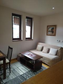 Apartman Bela Breza - Zlatibor - 5