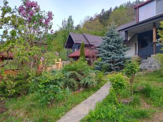 Lake Residence - Pângărăcior - 0