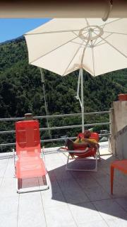 Paisible maison dans les Pyrénées - Fontpédrouse - 8