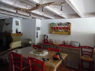 Paisible maison dans les Pyrénées - Fontpédrouse - 1