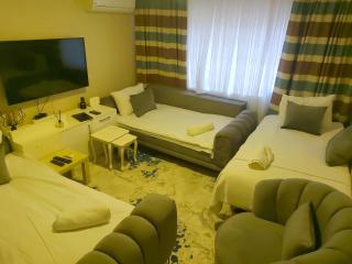 Amazing SULTANAHMET Apartment 2 - Istanbul - 7