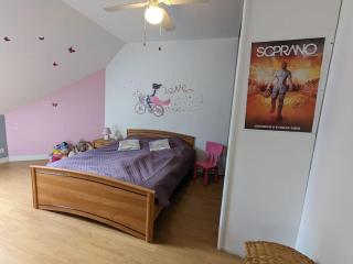 Maison familiale en Touraine - Saché - 1