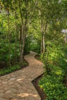Amazing PH Private rooftop Private Cenote - Tulum - 9
