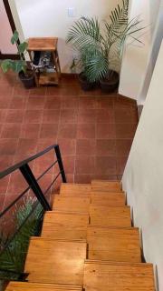 Casa Independencia Oaxaca a 6 calles del Zócalo - Città di Oaxaca - 6