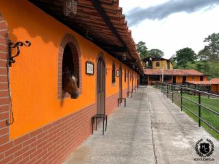 Hotel Cafelia boutique - 7