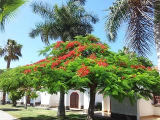 Parque Golf Bungalow - San Bartolomé - 3