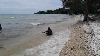 Pelican Resort Beach - 8