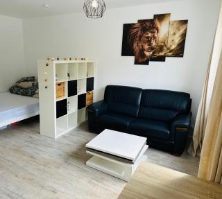 Très agréable studio à Villeurbanne - Villeurbanne - 0