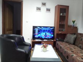 Apartman Mladenovic Center, free parking&wifi - Vranje - 7