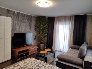 Ferienwohnung Rhein-Main II - 2