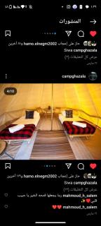 غزاله كامب - Siwa - 7