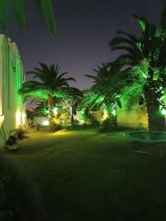 Casa de las palmeras - Mar del Plata - 3