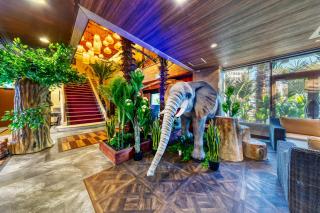 Hotel Lotus Okayama Adult Only - Okayama - 7