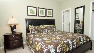 Last Minute Disney Getaway! Private Pool, Hot Tub & Games Room. Book Now! #44 - Orlando - 3