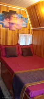 Sewaney homestay - Darjeeling - 7