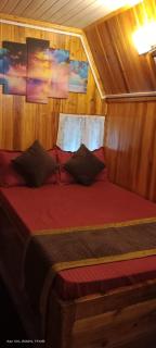 Sewaney homestay - Darjeeling - 3