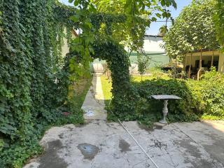 REAL TASHKENT Inn - Tashkent - 9