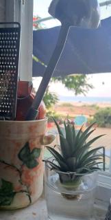Beach House - Ashdod - 3