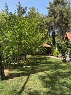 Rose Garden Platres - 2